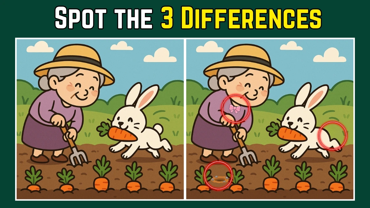 Spot the Difference: Within 9 Seconds Spot The 3 Differences in this Old Lady Doing Farming Image