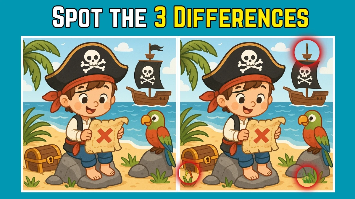 Spot the Difference: Within 9 Seconds Spot The 3 Differences in this Pirate with Parrot Image