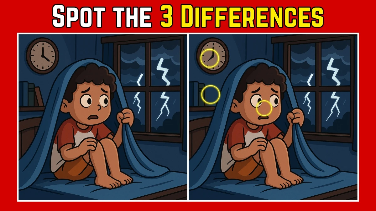 Spot the Difference: Within 9 Seconds Spot The 3 Differences in this Scared Kid Image