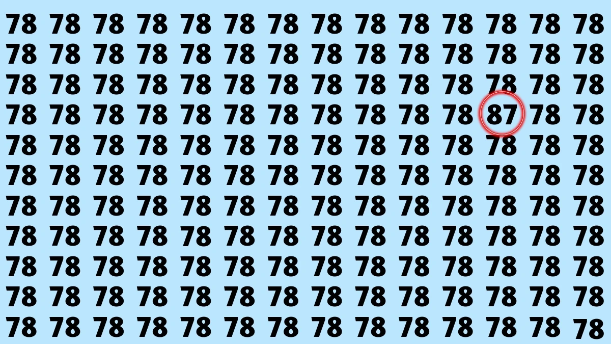 Observation Find it Out: Within 7 Seconds Spot The Number 87 among 78