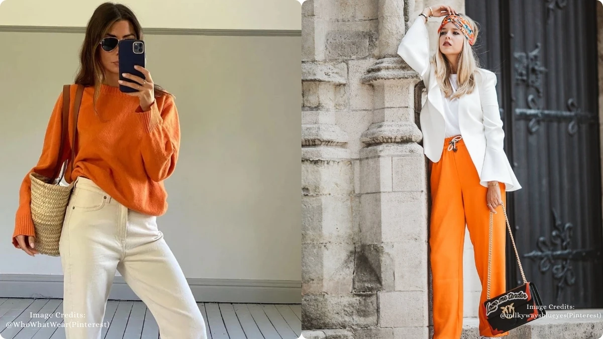 Top 5 Best Color Combos for look Elegant and Expensive