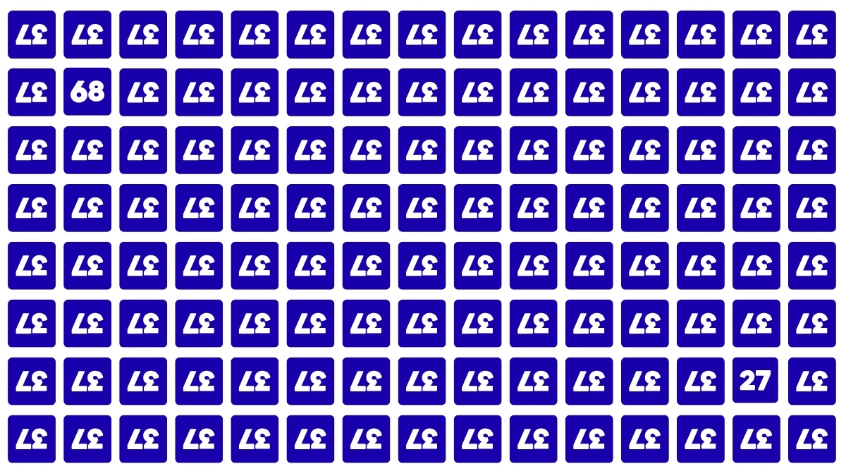 Optical Illusion: If You Have a Genius-Level Focus and an IQ Above 130 Find the Secret Numbers 27 and 68 in This Inverted Puzzle