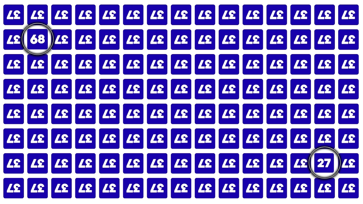 Optical Illusion: If You Have a Genius-Level Focus and an IQ Above 130 Find the Secret Numbers 27 and 68 in This Inverted Puzzle