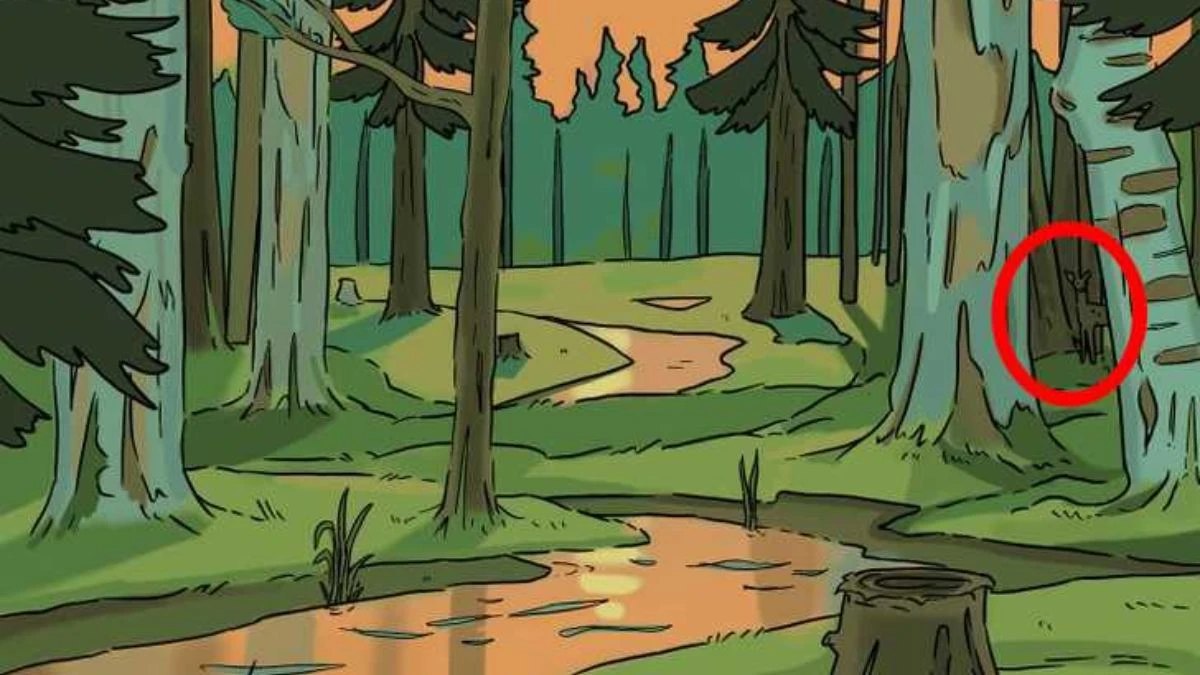 Can You Spot the Hidden Deer? Only 1% with Hawk Eyes Can Find It in This Nature Camouflage Illusion!