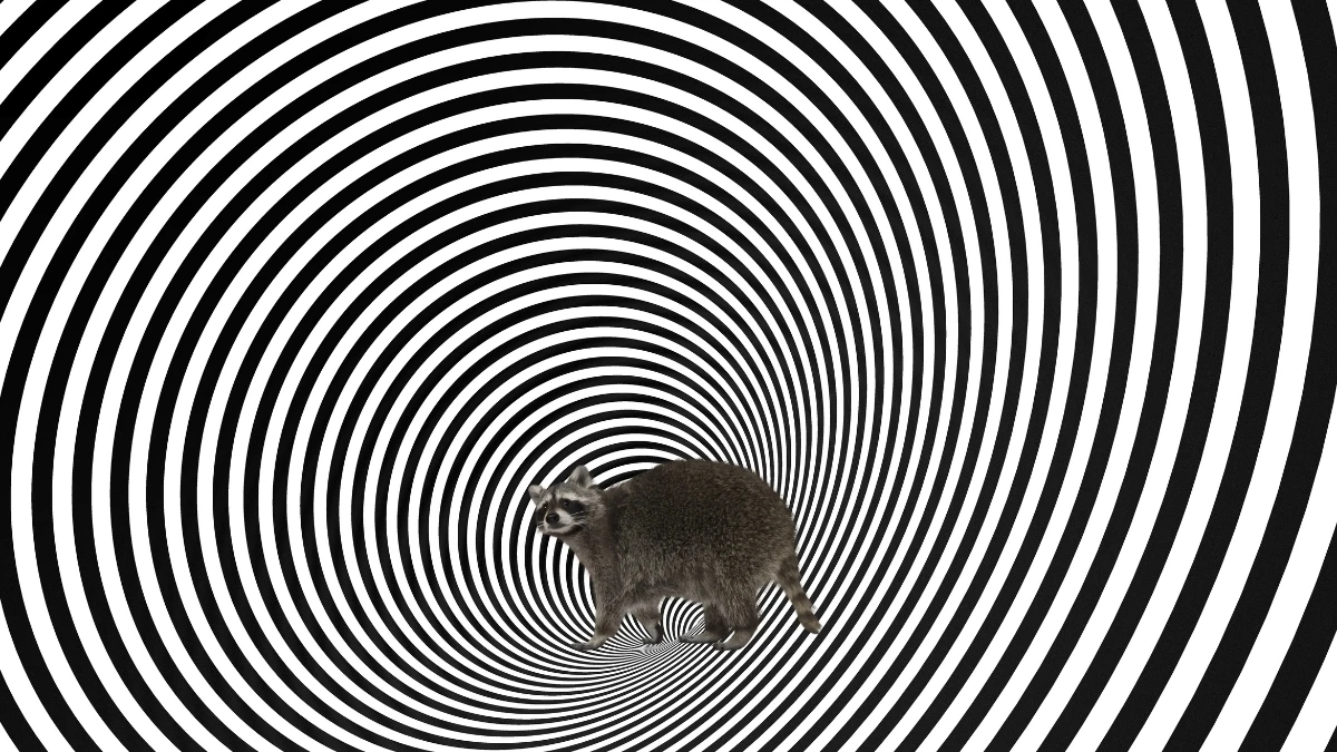 Can You find the Hidden Animal in this Radiating Wavy Pattern Optical Illusion Using Your Eagle-Eye Vision?