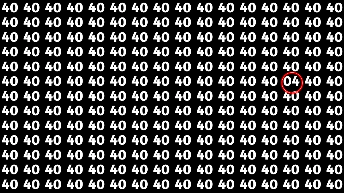 Observation Find it Out: Within 6 Seconds Spot The Number 04 among 40
