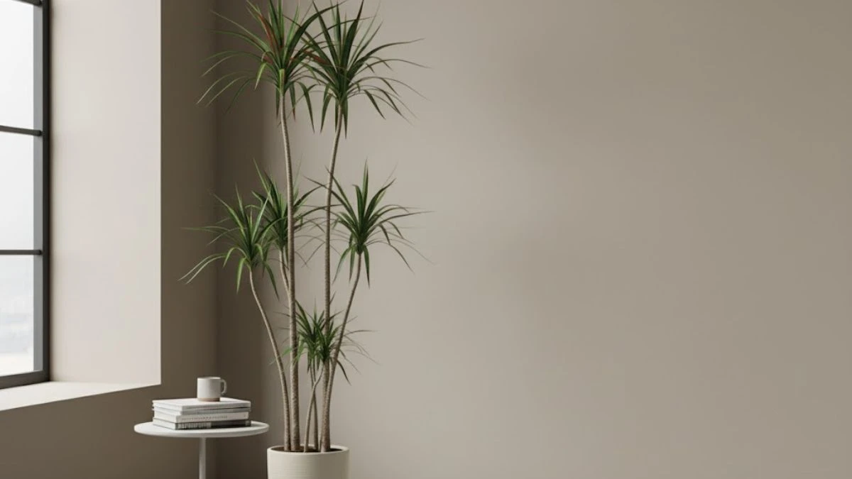 10 Best Indoor Plants that Grow Without Sunlight– Low-Light Houseplant Guide