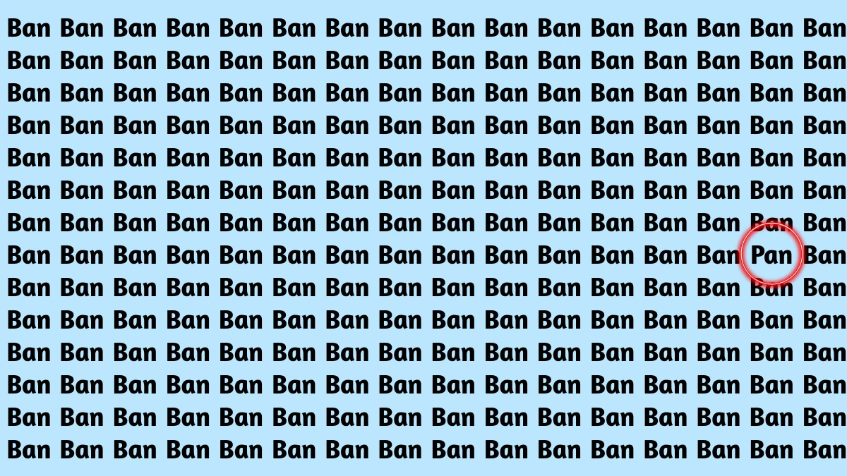 Brain Teaser: Only People With hawk eyes and 140+ IQ can find 'PAN' in 8 seconds!
