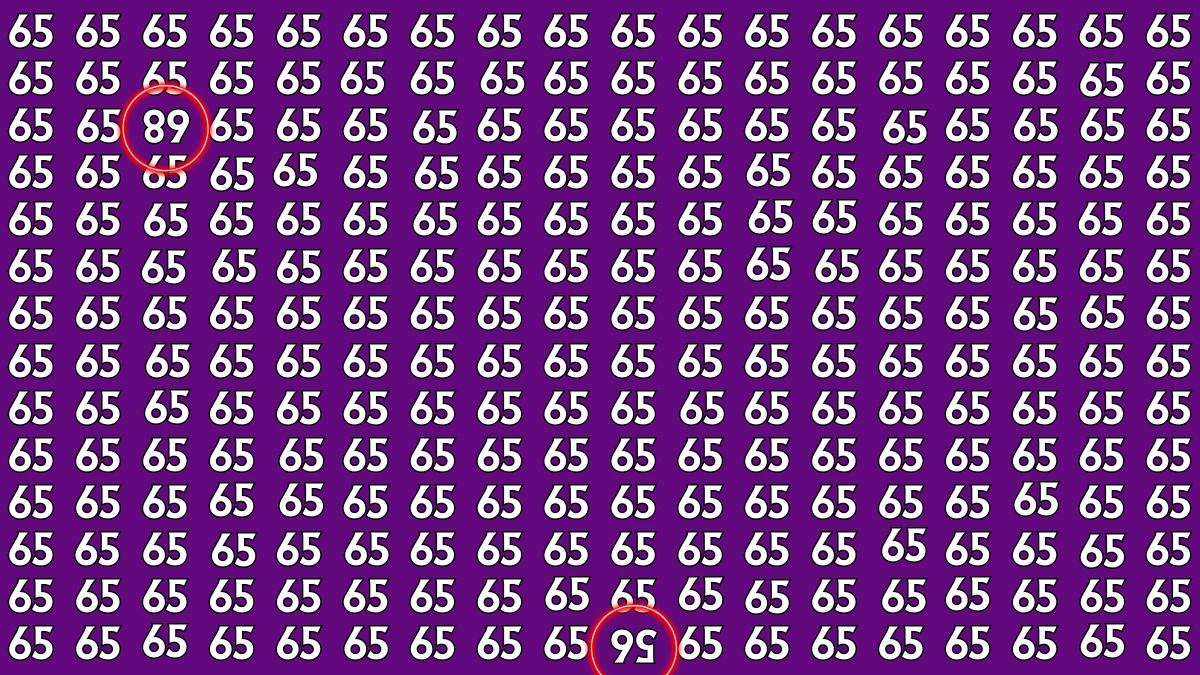Brain Teaser: Within 6 Seconds Spot The Inverted 56 and 68 among 65s