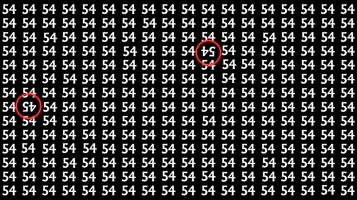 Brain Teaser: Within 7 Seconds Spot The Inverted 45 and 54 among 54s
