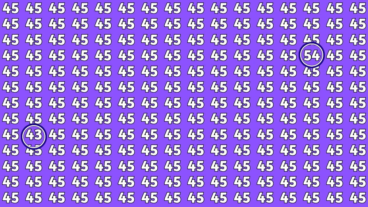 Brain Teaser: Within 7 Seconds Spot The Inverted 54 and 43 among 45s