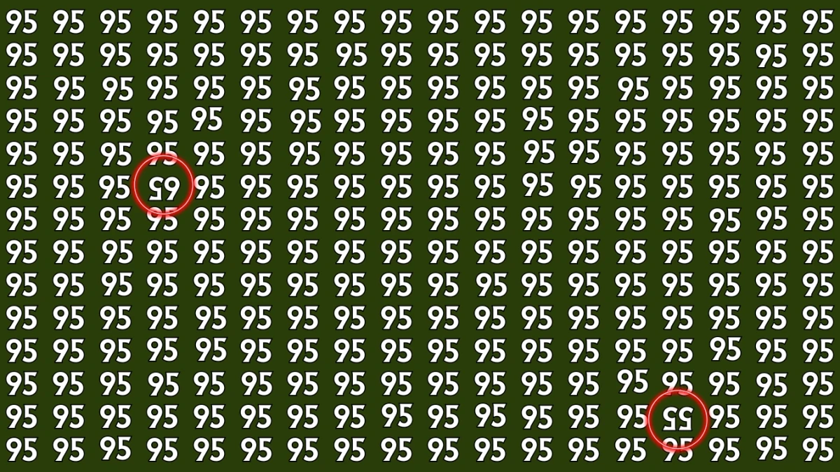 Brain Teaser: Within 7 Seconds Spot The Inverted 55 and 95 among 95s