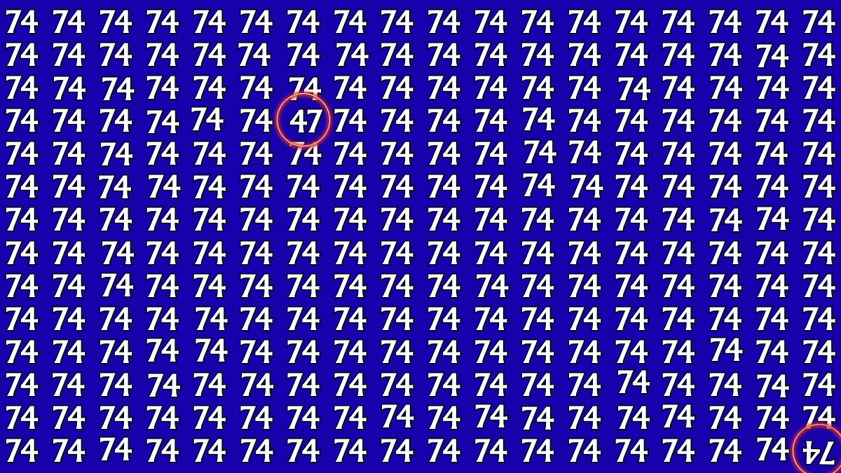 Brain Teaser: Within 7 Seconds Spot The Inverted 74 and 47 among 74s