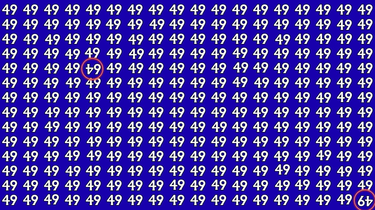 Brain Teaser: Within 9 Seconds Spot The Inverted 64 and 49 among 49s