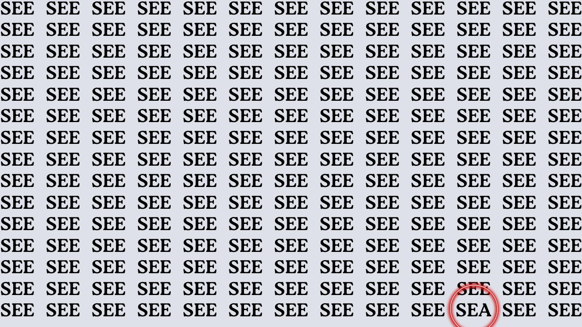 Find the Word SEA among SEE in 6 Seconds