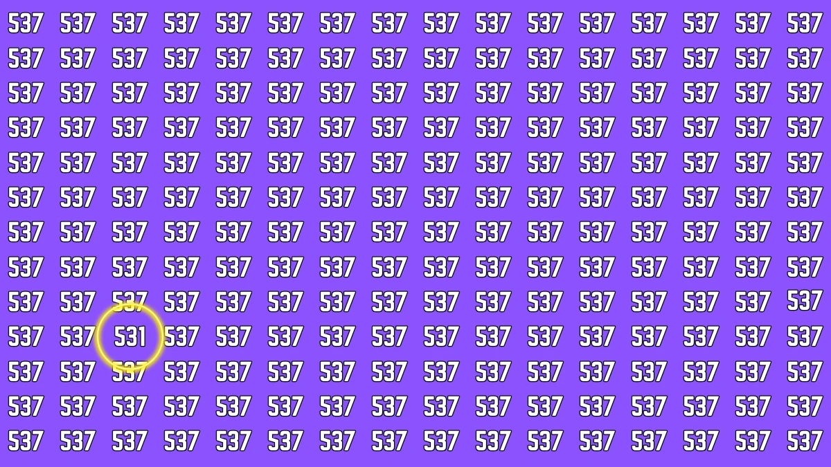 Optical Illusion 7 Seconds Challenge: Only People with Eagle Eyes Can spot the Number 531