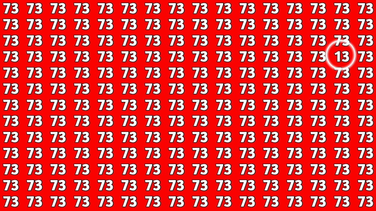 Observation Find it Out: Within 5 Seconds Spot The Number 13 among 73