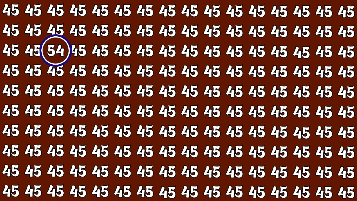 Observation Find it Out: Within 5 Seconds Spot The Number 54 among 45
