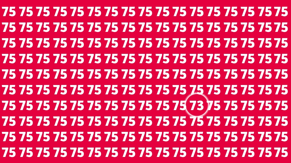 Observation Find it Out: Within 5 Seconds Spot The Number 73 among 75