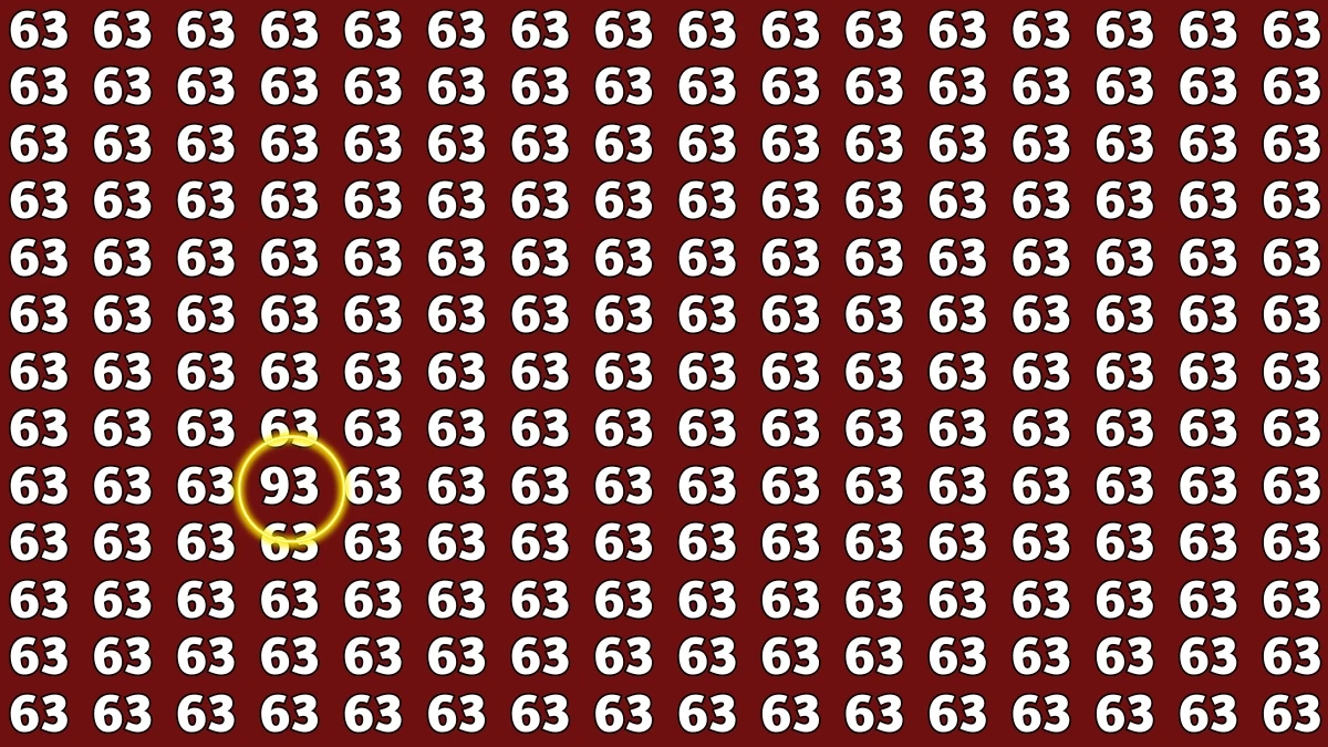 Observation Find it Out: Within 5 Seconds Spot The Number 93 among 63