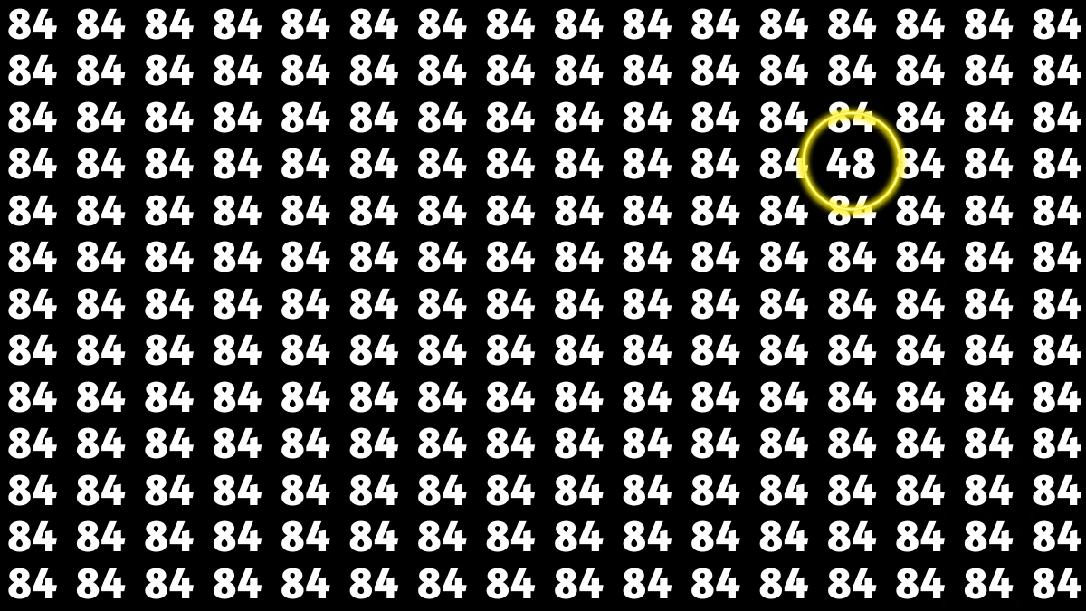 Observation Find it Out: Within 6 Seconds Spot The Number 48 among 84