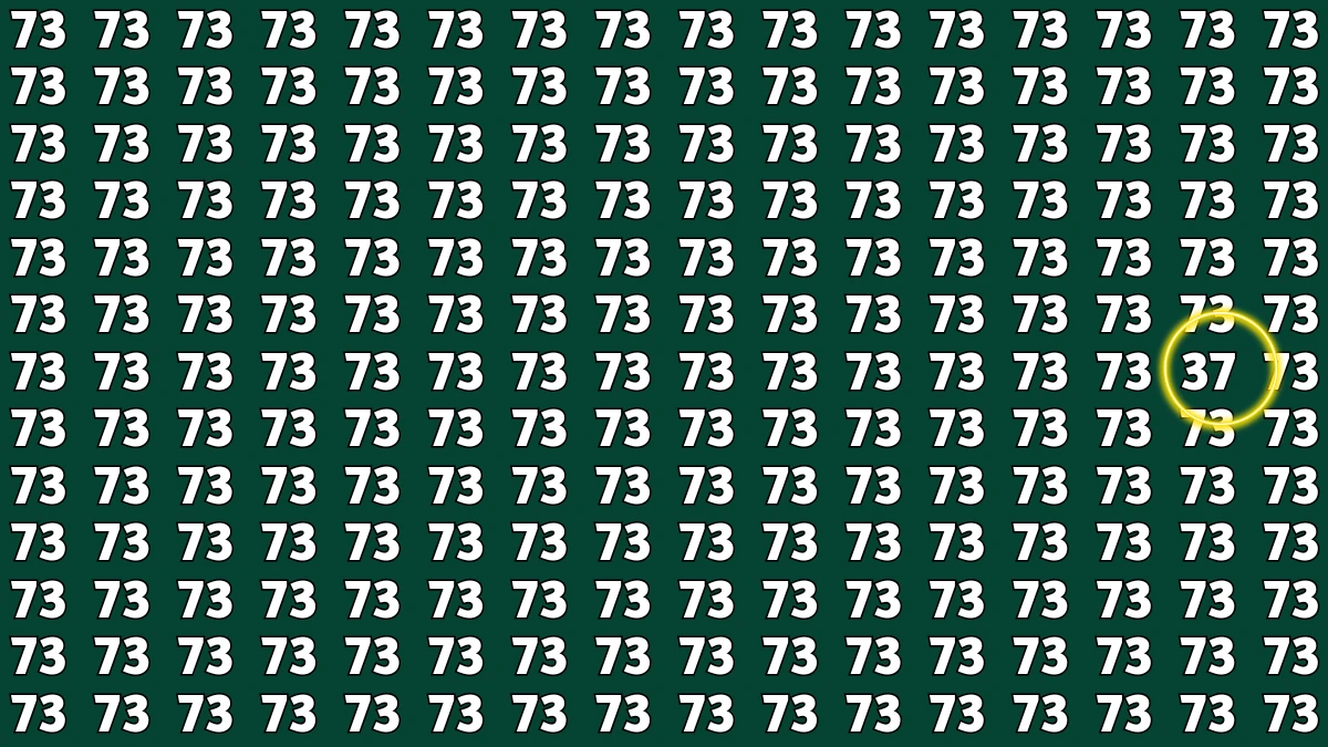 Observation Find It Out: Within 7 Seconds Spot The Number 37 among 73s