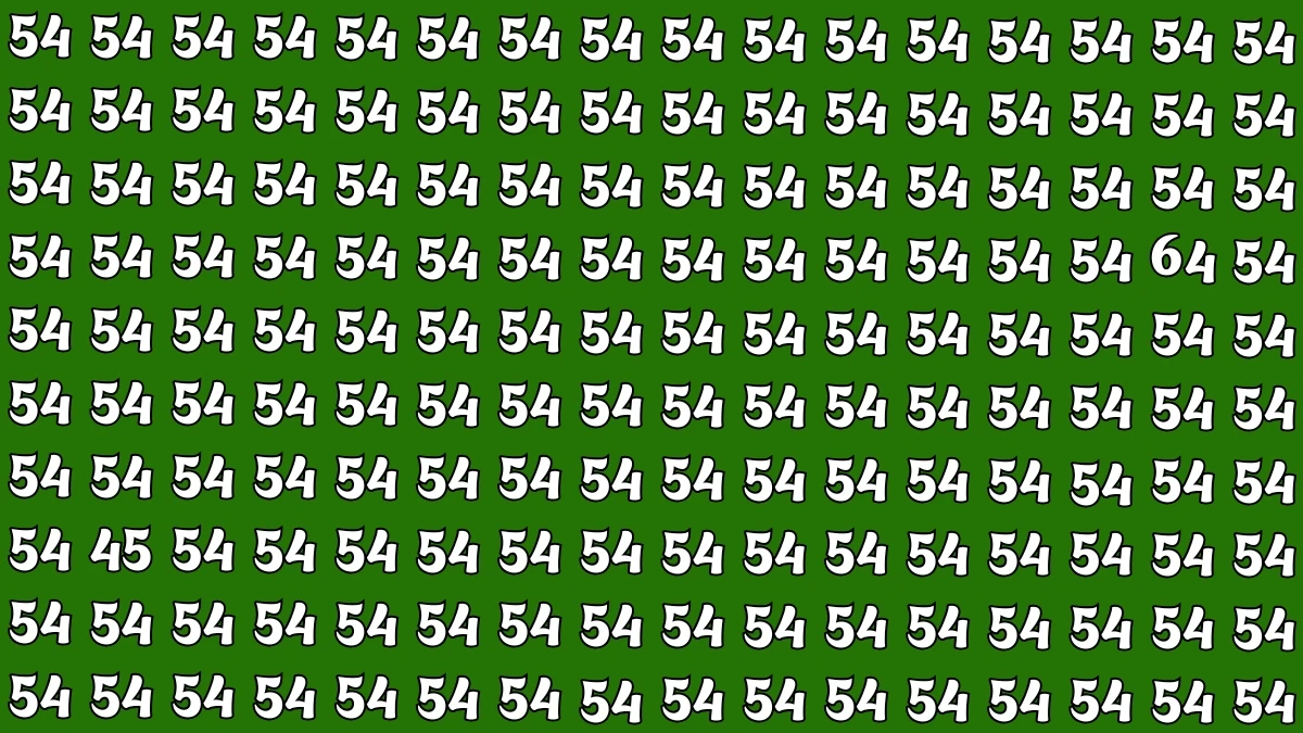 Observation Find it Out: Within 7 Seconds Spot The Number 64 among 54