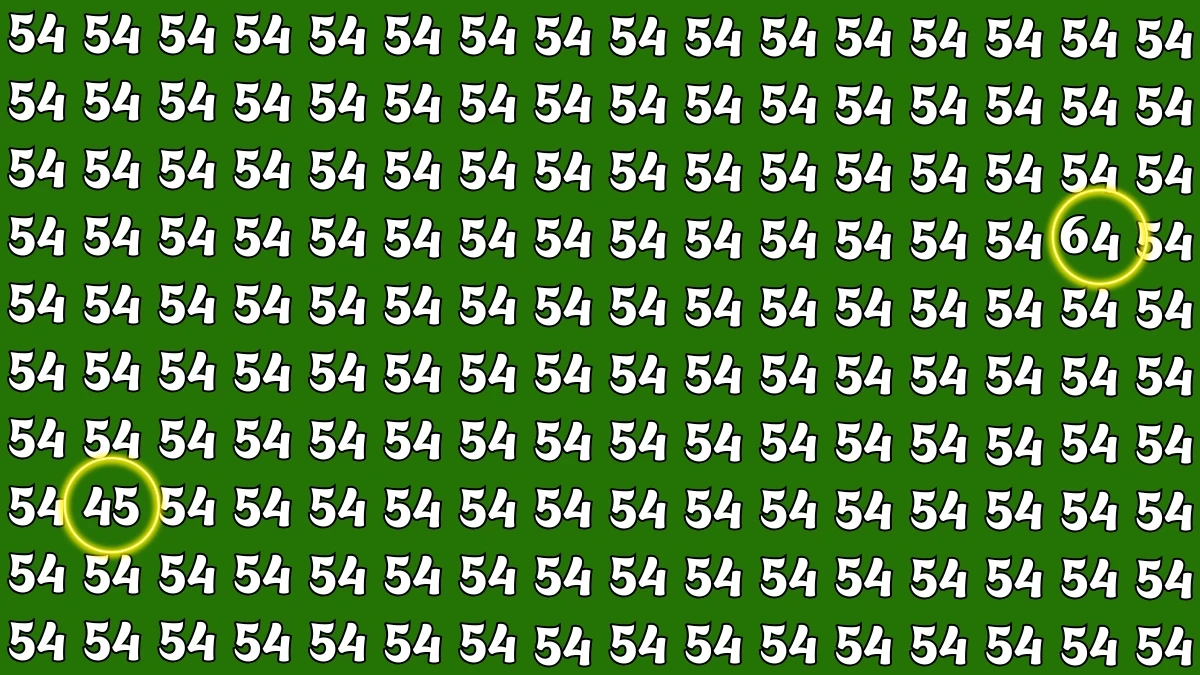 Observation Find it Out: Within 7 Seconds Spot The Number 64 among 54