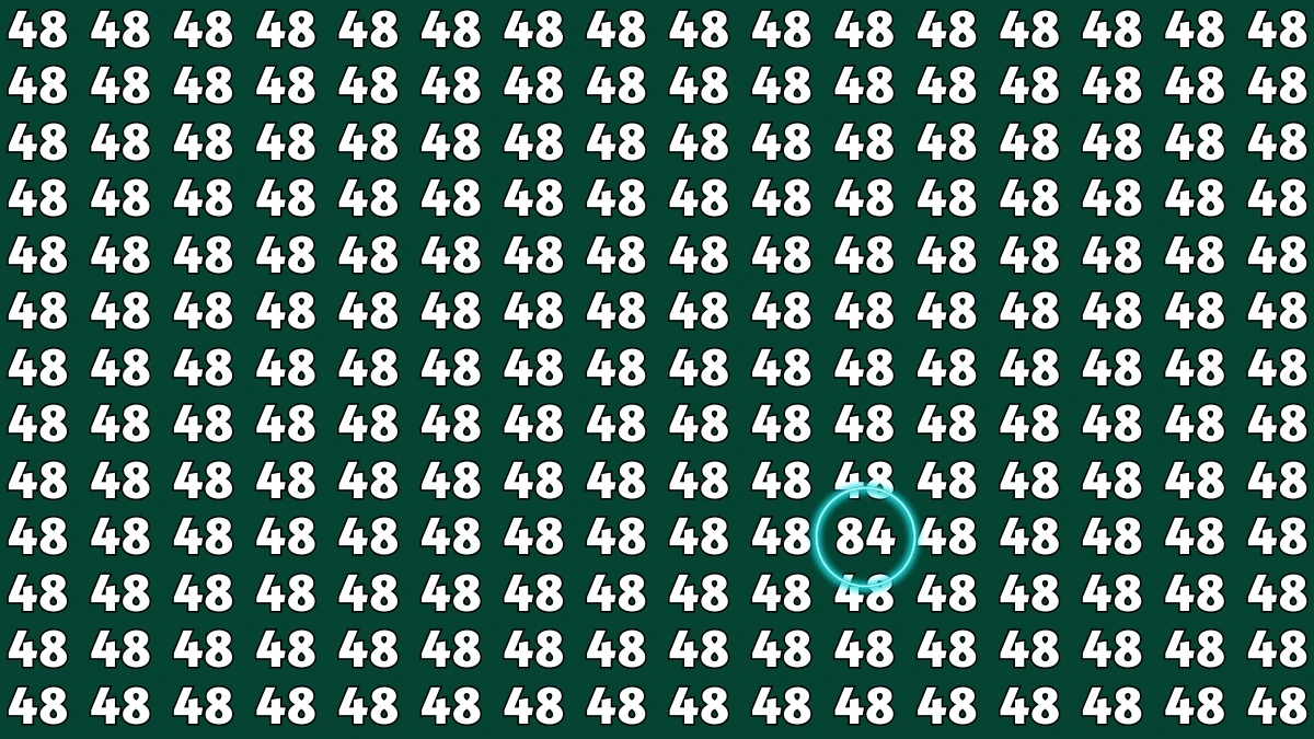 Observation Find It Out: Within 7 Seconds Spot The Number 84 among 48s