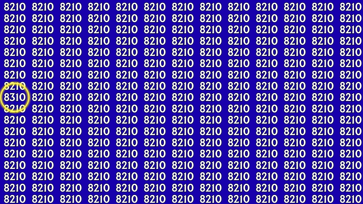 Observation Find It Out: Within 8 Seconds Spot The Number 8310 among 8210s