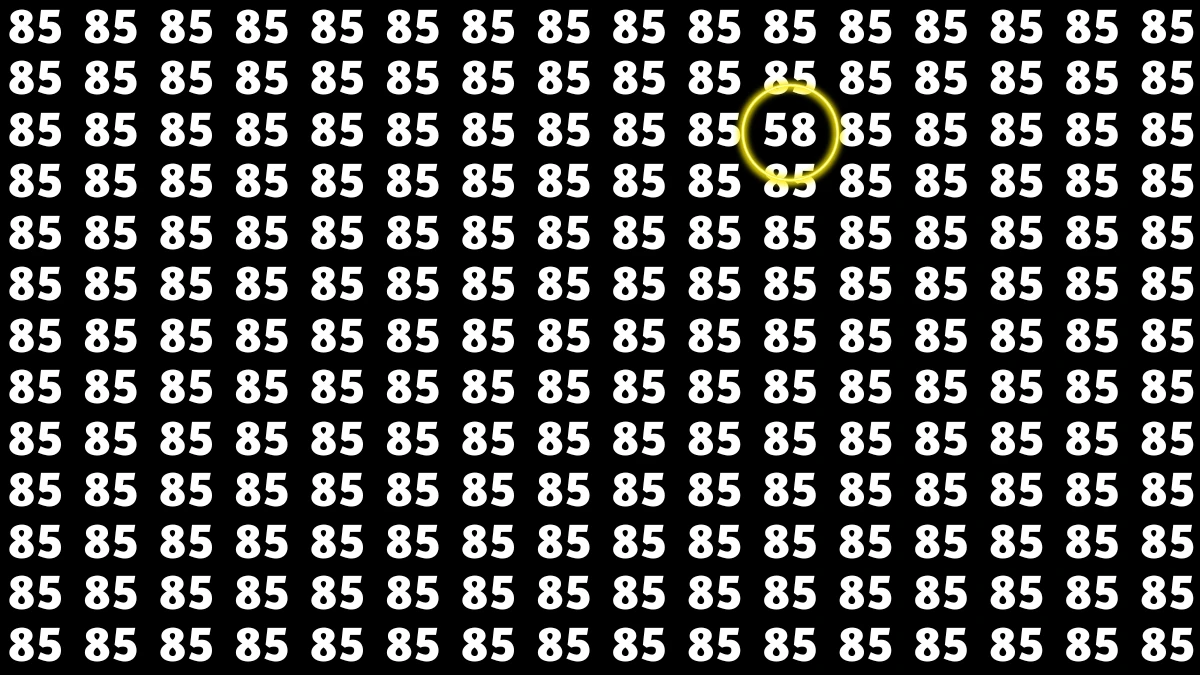 Observation Find it Out: Within 9 Seconds Spot The Number 58 among 85