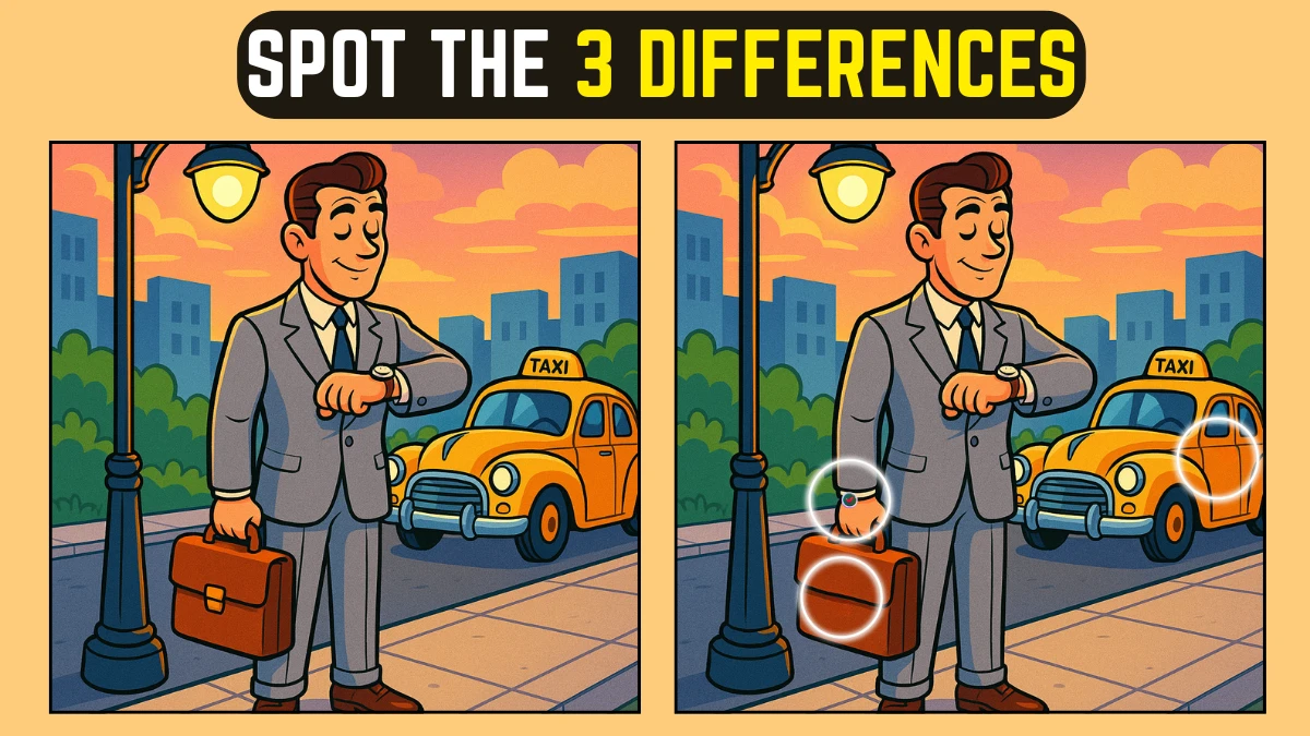 Only Eagle Eyes Can Spot All 3 Differences in this under 10 secs