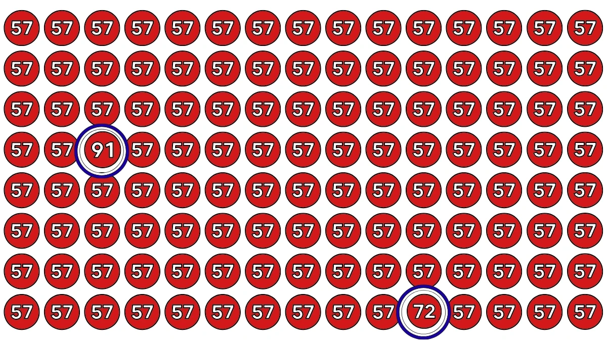 Only Those With Eagle Eyes and IQ 135 Can Spot the Hidden Numbers 72 and 91 in This Mind-Bending Optical Illusion!