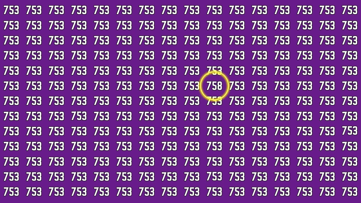 Optical Illusion 7 Challenge: Only People with Eagle Eyes Can spot the Number 758 among 753