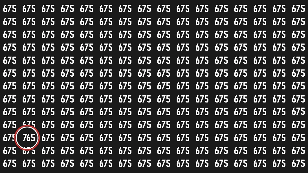 Optical Illusion 7 Challenge: Only People with Eagle Eyes Can spot the Number 765 among 675