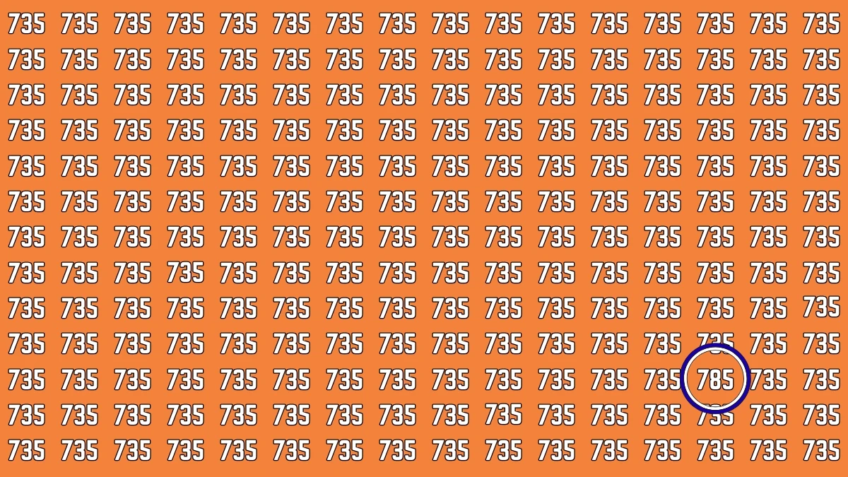 Optical Illusion 7 Challenge: Only People with Eagle Eyes Can spot the Number 785 among 735