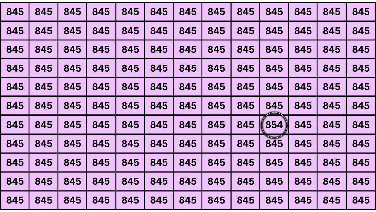 Optical Illusion 7 Challenge: Only People with Eagle Eyes Can spot the Number 854 among 845
