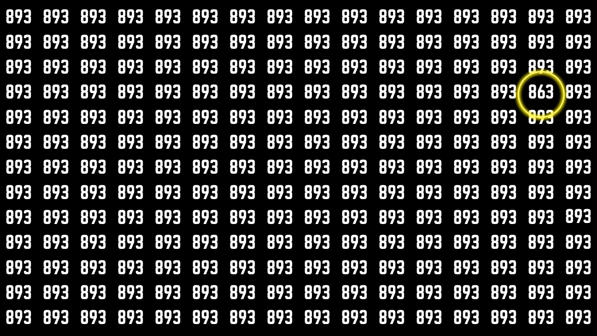 Optical Illusion 9 Seconds Challenge: Only People with Eagle Eyes Can spot the Number 863