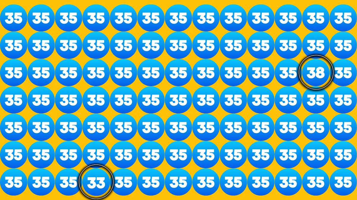Optical Illusion Eye Test Challenge: Within 5 Seconds Spot The Number 33 and 38 among 35