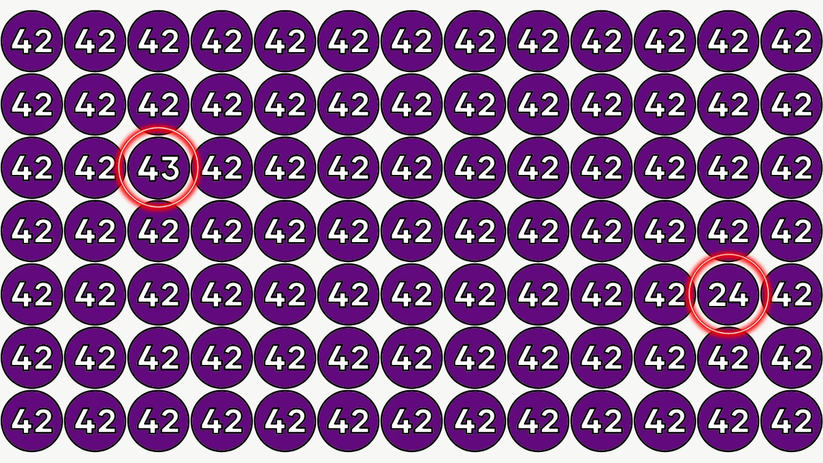 Optical Illusion Eye Test Challenge: Within 7 Seconds Spot The Number 43 and 24 among 42