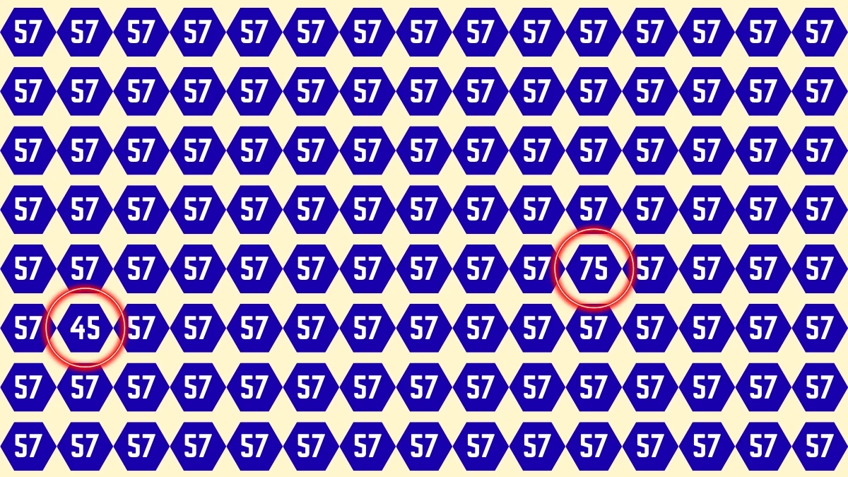 Optical Illusion Eye Test Challenge: Within 7 Seconds Spot The Number 45 and 75 among 57