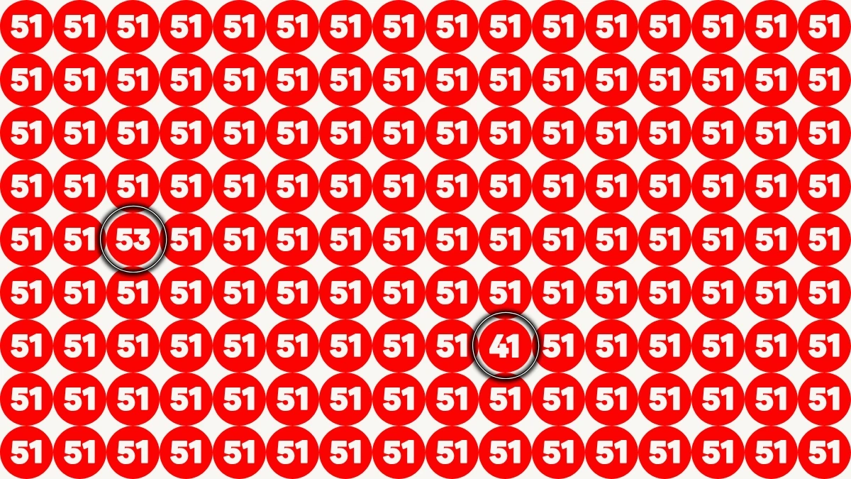 Optical Illusion Eye Test Challenge: Within 7 Seconds Spot The Number 53 and 41 among 51