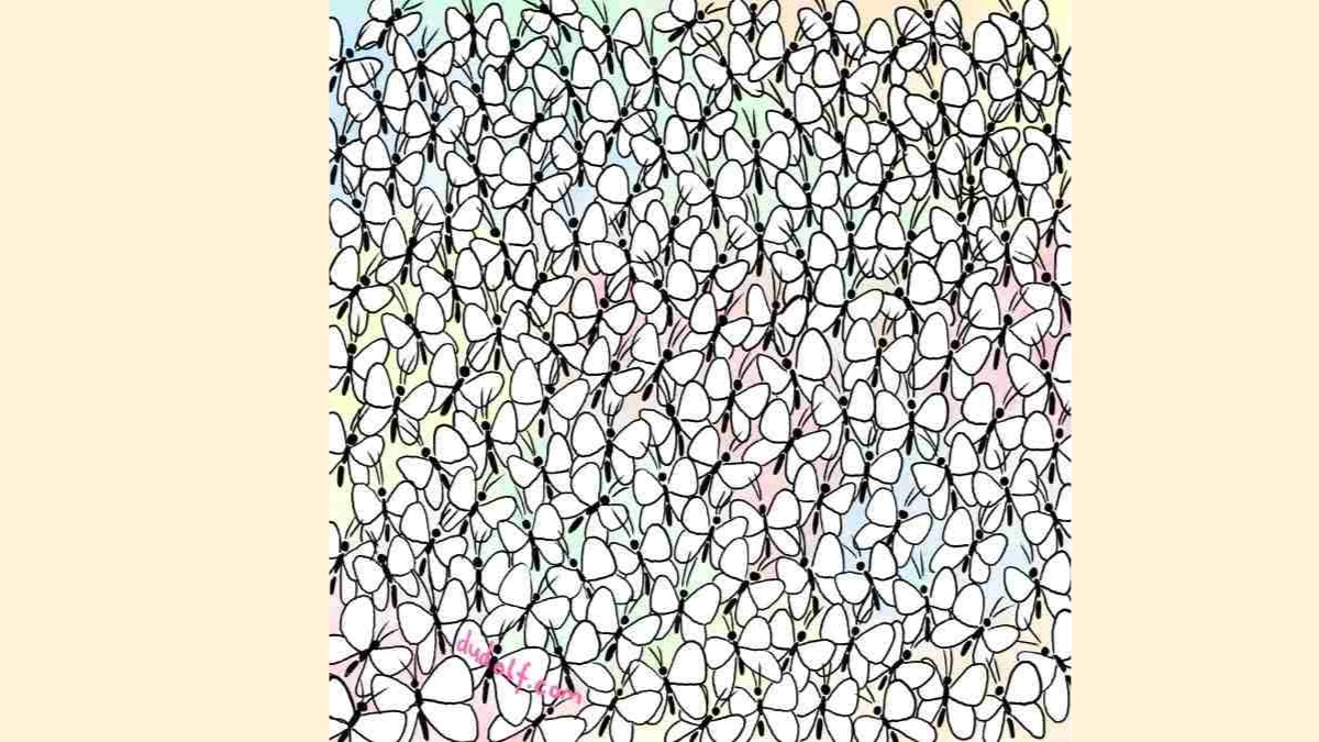 Optical Illusion IQ Test: 99% Failed To Spot The Ant! Can you spot the Hidden Ant among Butterflies In 20 Seconds!