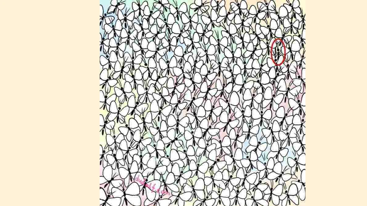 Optical Illusion IQ Test: 99% Failed To Spot The Ant! Can you spot the Hidden Ant among Butterflies In 20 Seconds!