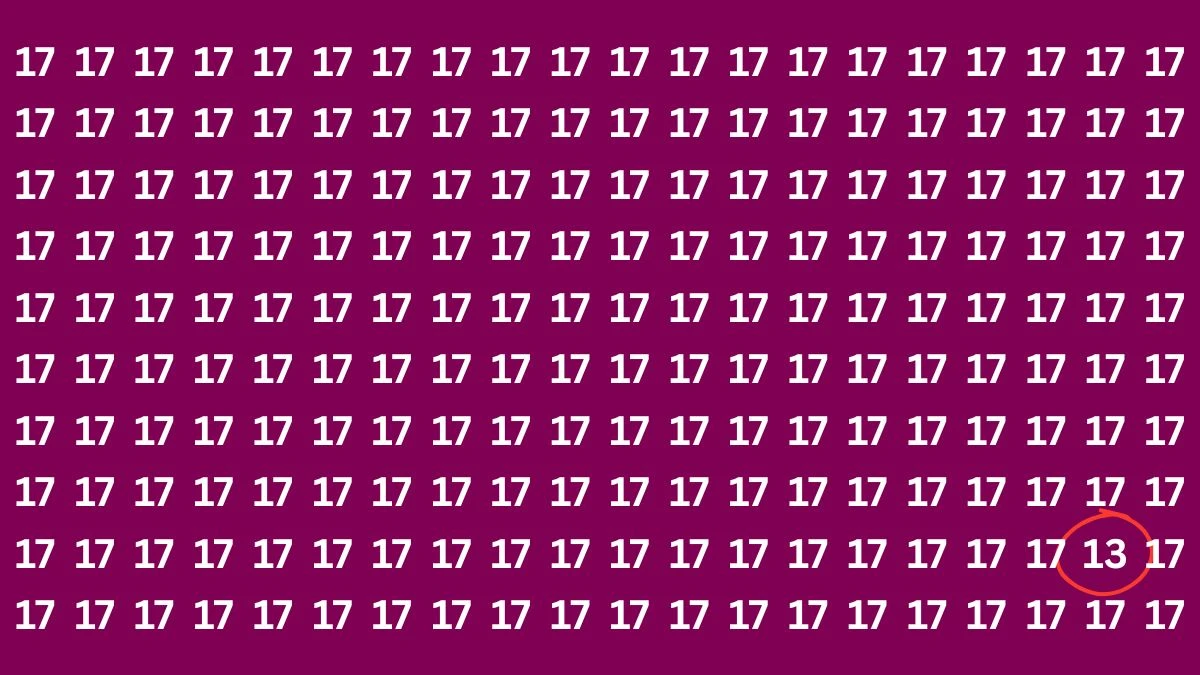 Optical Illusion IQ Test: Are You A Genius? Within 18 Seconds Spot The Number 13 among 17