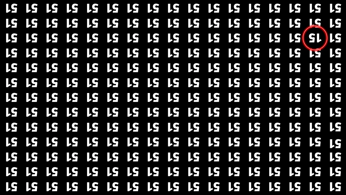 Optical Illusion IQ Test: Are You A Genius? Within 5 Seconds Spot The Inverted 15 among Inverted 51s