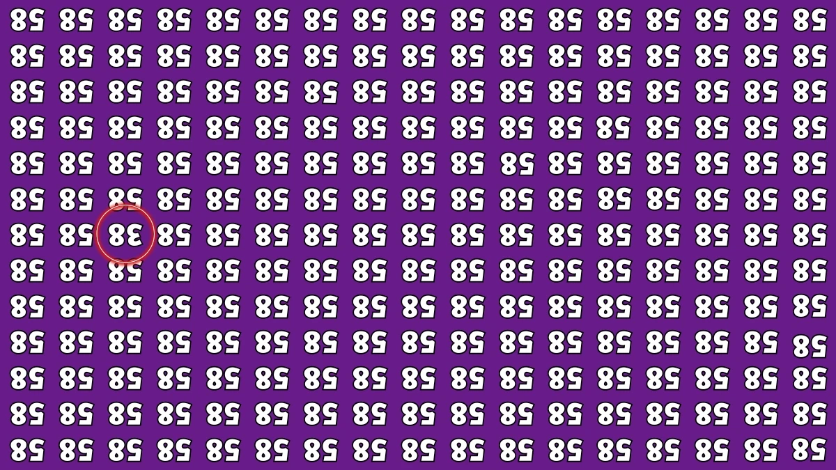 Optical Illusion IQ Test: Are You A Genius? Within 5 Seconds Spot The Inverted 38 among Inverted 58