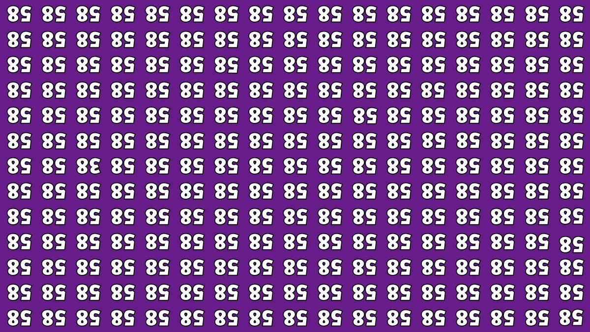 Optical Illusion IQ Test: Are You A Genius? Within 5 Seconds Spot The Inverted 38 among Inverted 58