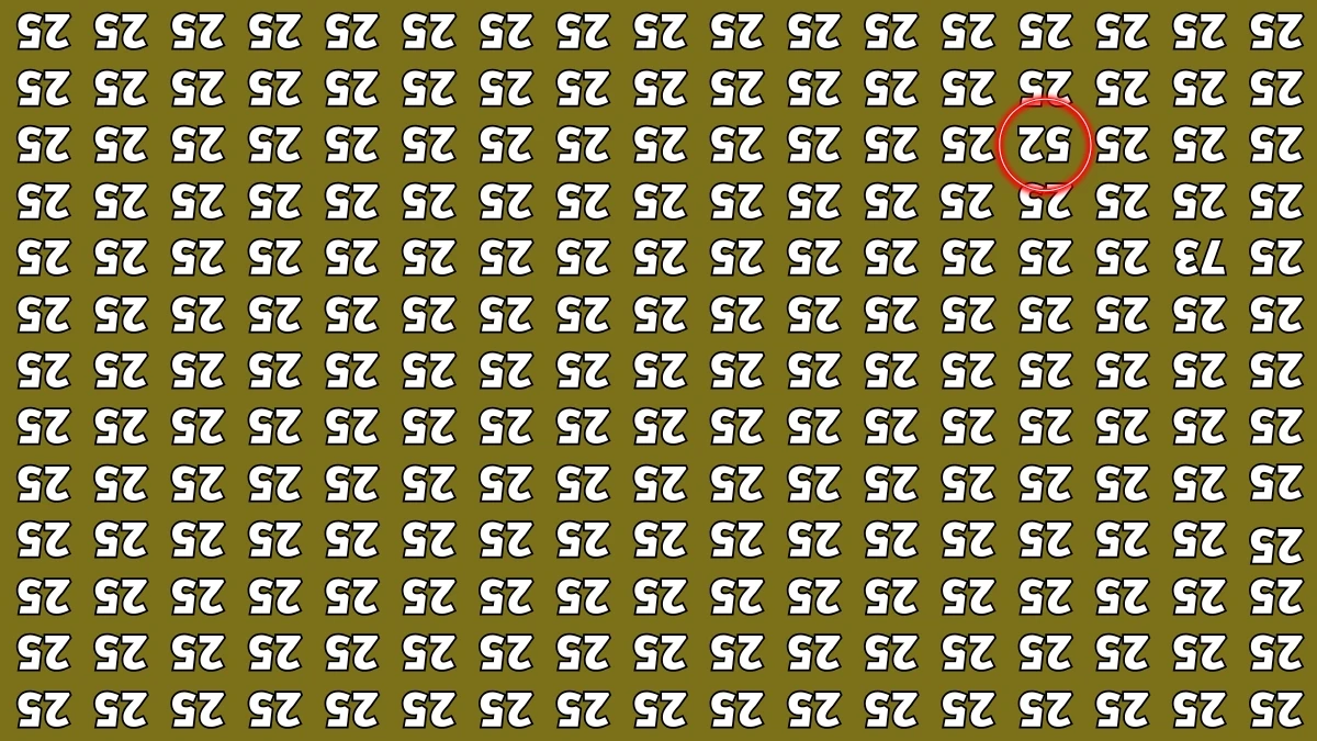 Optical Illusion IQ Test: Are You A Genius? Within 5 Seconds Spot The Inverted 52 among Inverted 25