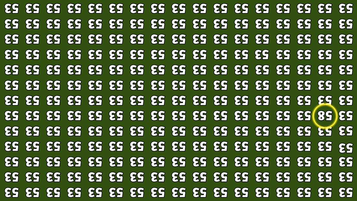 Optical Illusion IQ Test: Are You A Genius? Within 5 Seconds Spot The Inverted 58 among Inverted 53s